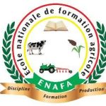Logo ENAFA Matourkou
